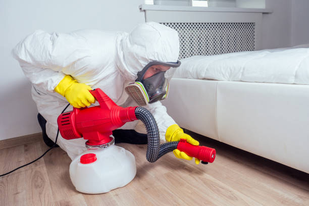 Best Bed Bug Extermination  in Nroe City, MO